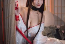 动漫博主铁板烧鬼舞w - 赤城 [20P-287MB]-套图岛