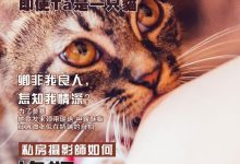 [108酱TV]日系系列 2016.09.01 妮小妖-女仆黑丝诱惑 [1V]-套图岛