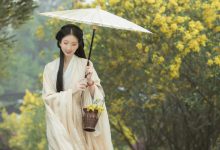 [YITUYU艺图语]2022.07.02 合欢枝 miego[21+1P／355MB]-套图岛