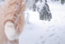 [YITUYU艺图语]2022.09.17 嘿，一起来玩雪。 耳元在减肥[25+1P／311MB]-套图岛