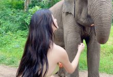 就是阿朱啊 -  人与自然 [16P-205MB]-套图岛