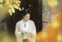 [YITUYU艺图语]2023.02.03 等闲日 陌颜[29+1P／531MB]-套图岛