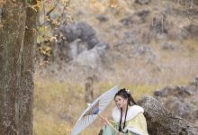 [YITUYU艺图语]2023.02.05 枫 秋哒哒--[24+1P／276MB]-套图岛