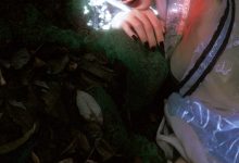 [YITUYU艺图语]2023.03.12 寻梦记·彼时蝶 阿了个戚[22+1P／406MB]-套图岛