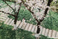 [YITUYU艺图语]2023.04.18 樱花教室 萌伊伊[32+1P／368MB]-套图岛