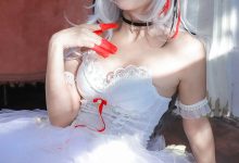 苏嫣嫣阿姨-明日方舟-W芭蕾 [30P-249MB]-套图岛