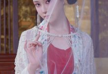 年年nnian –  广寒宫[80P-694.7M]-套图岛